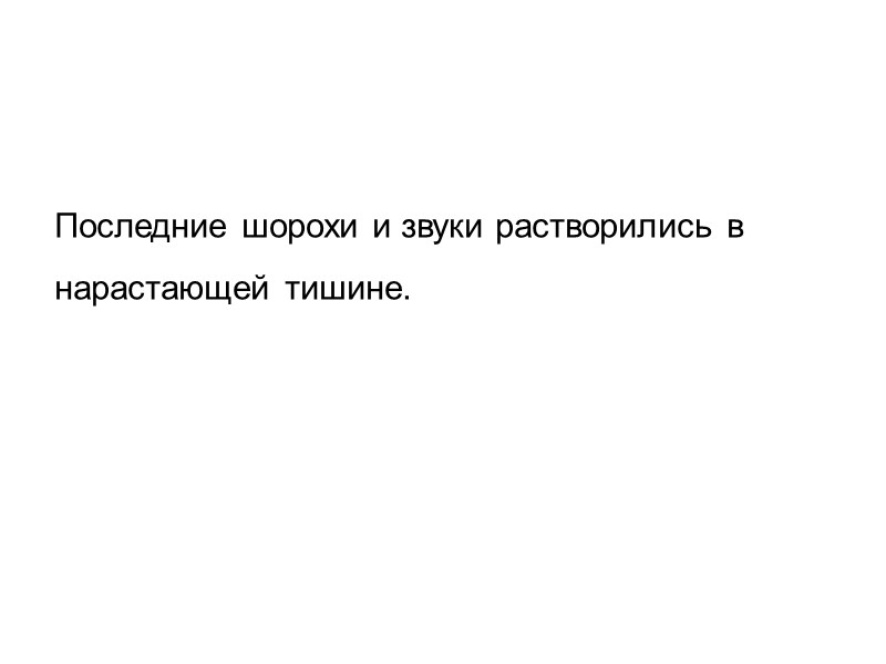Последние шорохи и звуки растворились в нарастающей тишине.